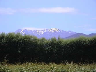 Mt Arthur in the Kahurangi National Park, Tasman